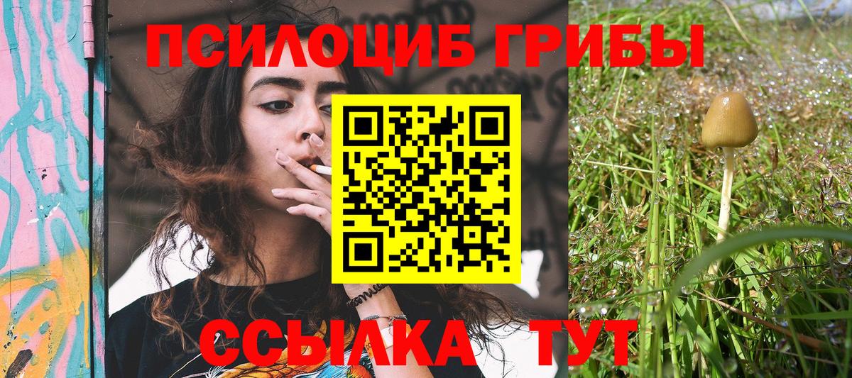 Волжский  Галлюциногенные грибы мицелий  Вход с VPN  Псилоцибиновые грибы Psilocybine cubensis 